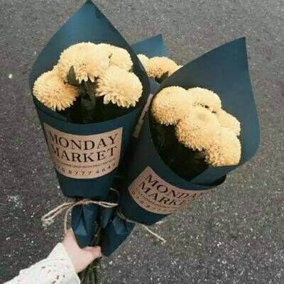 赛博体育手机app下载