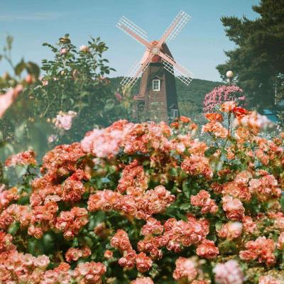 乐鱼娱乐app下载手机版