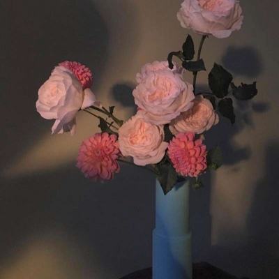 凤凰彩票最新版安卓版