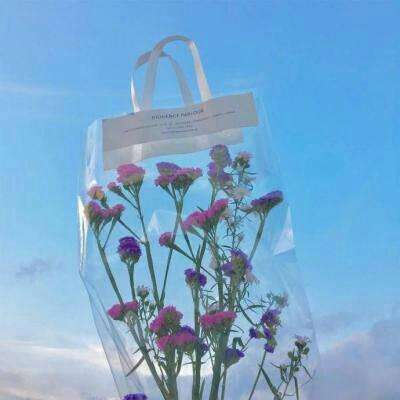 星空官方网站下载app