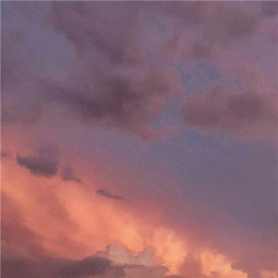 星空官方网站下载app