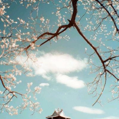 亚虎娱乐app下载