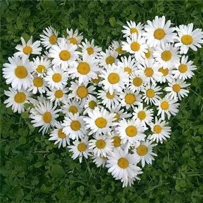 博鱼·体育app(中国)官网入口-手机版app下载